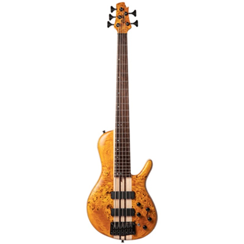 Đàn Guitar Bass
