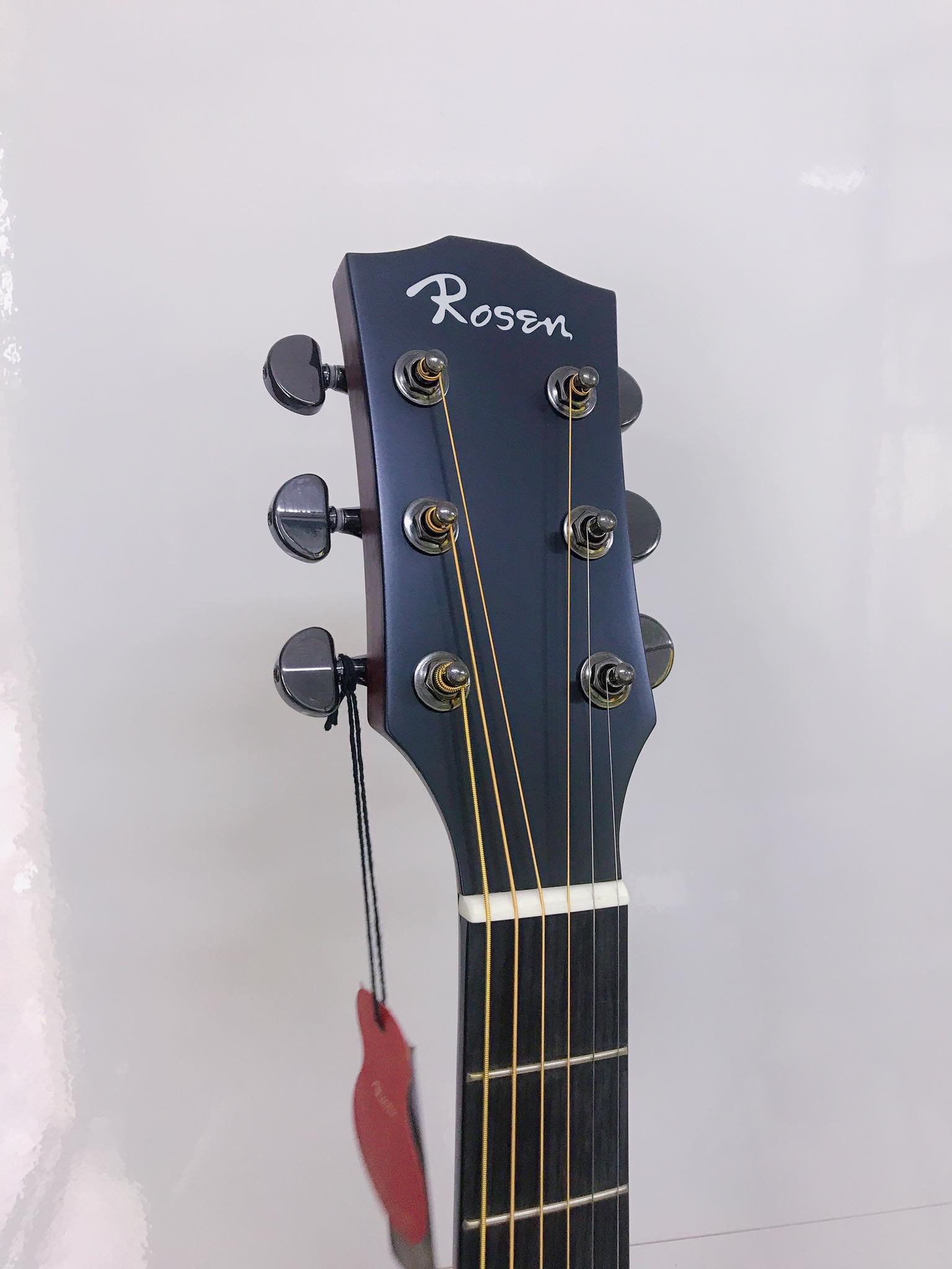 Guitar Rosen G15