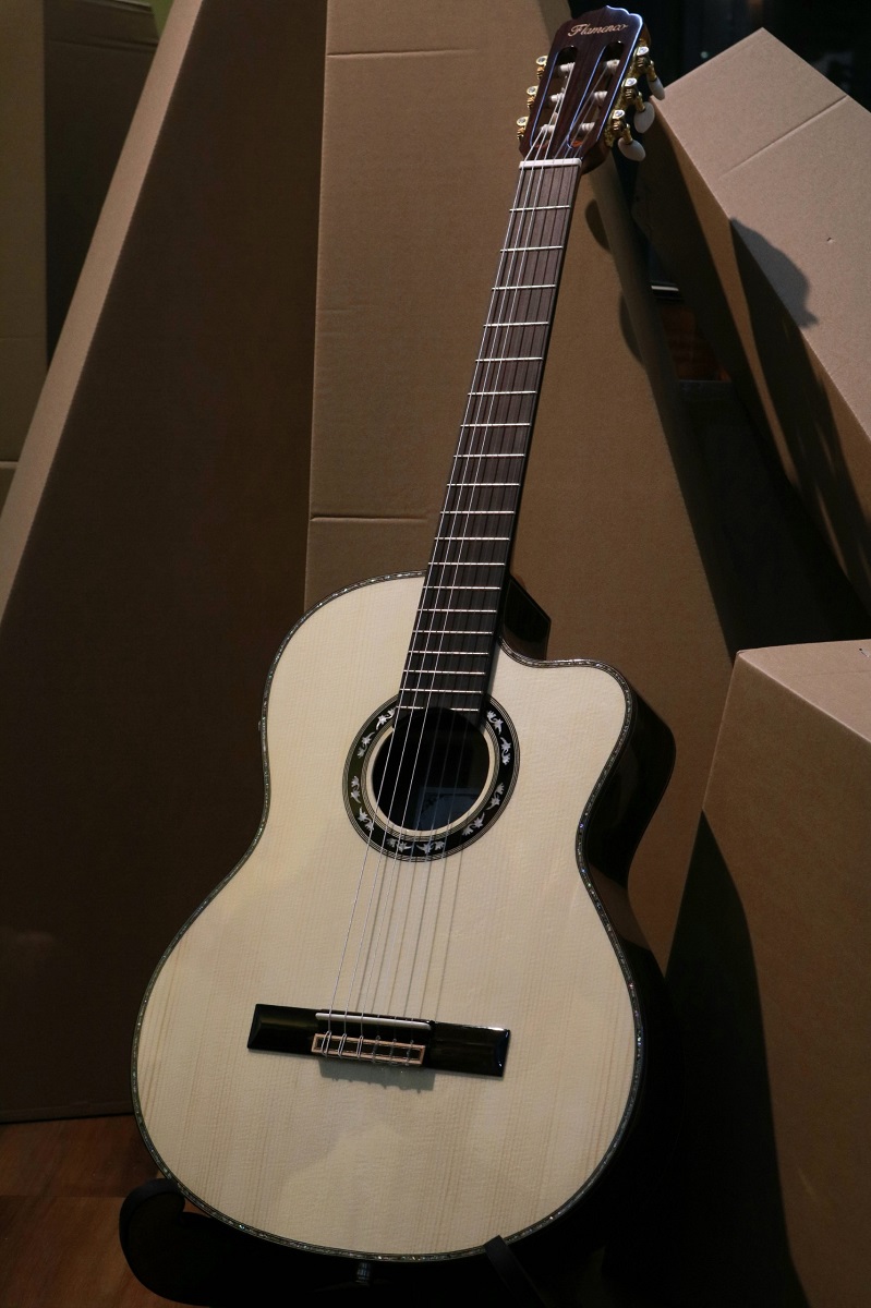 Guitar Classic Flamenco FSP7 CE
