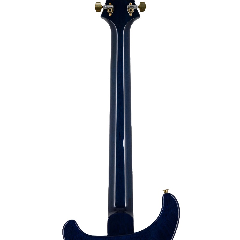 Đàn Guitar Điện PRS Core Special Semi Hollow 10-Top HH, Rosewood Fingerboard, Custom Color, Blue Matteo Wrap
