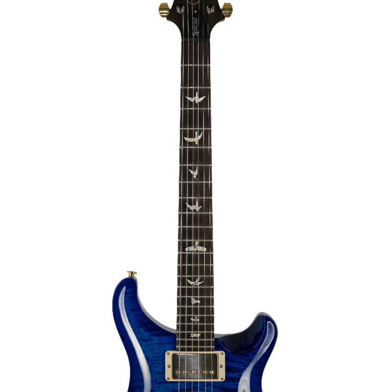 Đàn Guitar Điện PRS Core Special Semi Hollow 10-Top HH, Rosewood Fingerboard, Custom Color, Blue Matteo Wrap