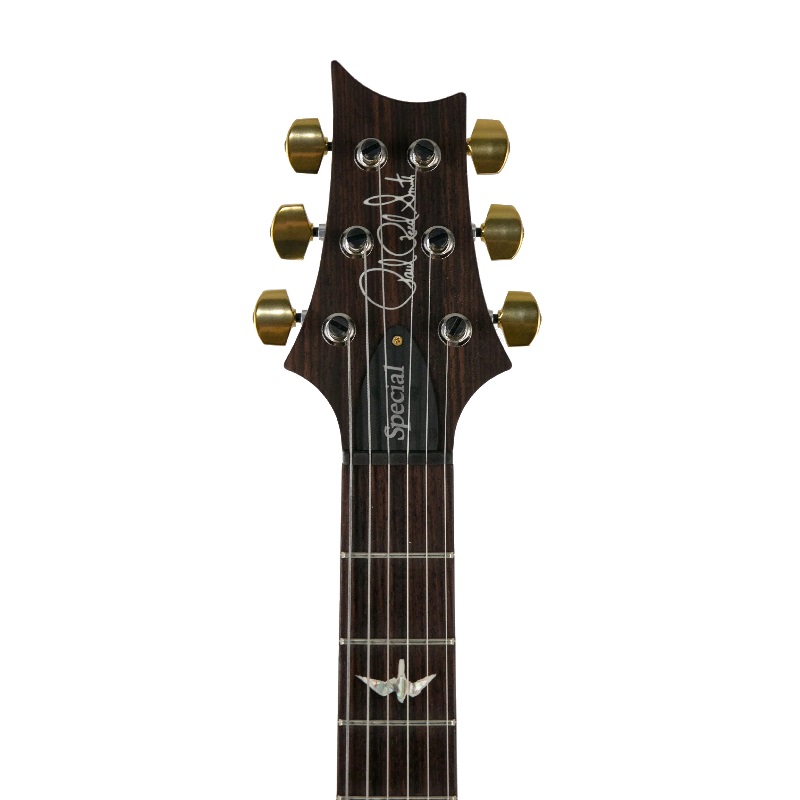 Đàn Guitar Điện PRS Core Special Semi Hollow 10-Top HH, Rosewood Fingerboard, Custom Color, Blue Matteo Wrap