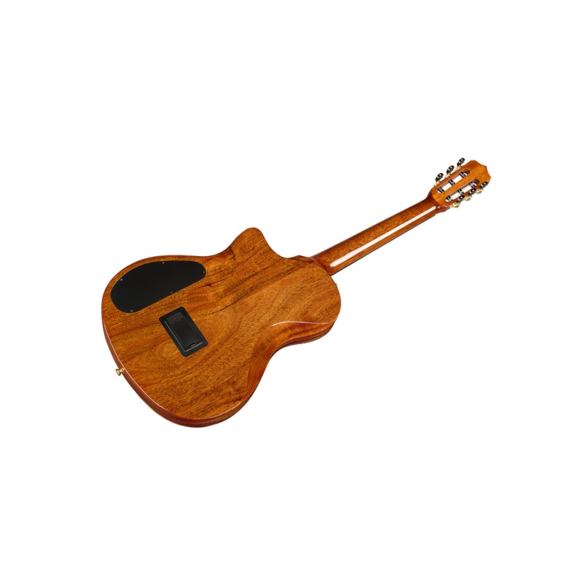 Đàn Guitar Cordoba Stage Artist Agave Burst 