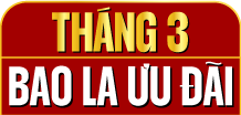 Sale tháng 12