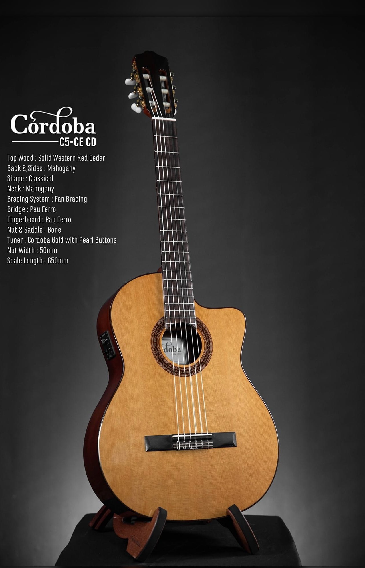 Trải nghiệm đàn Guitar Classic Cordoba C5-CE CD