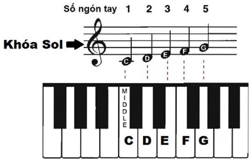 Mẹo Học Thuộc Nốt Nhạc Nhanh Chỉ Sau 1 Giờ