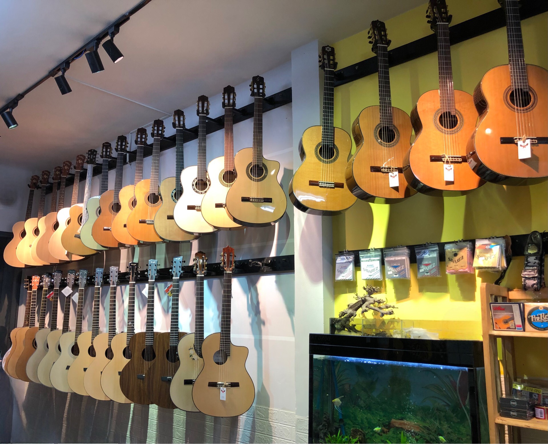 TOP 5 ĐÀN ACOUSTIC DEVISER GIÁ RẺ 2026