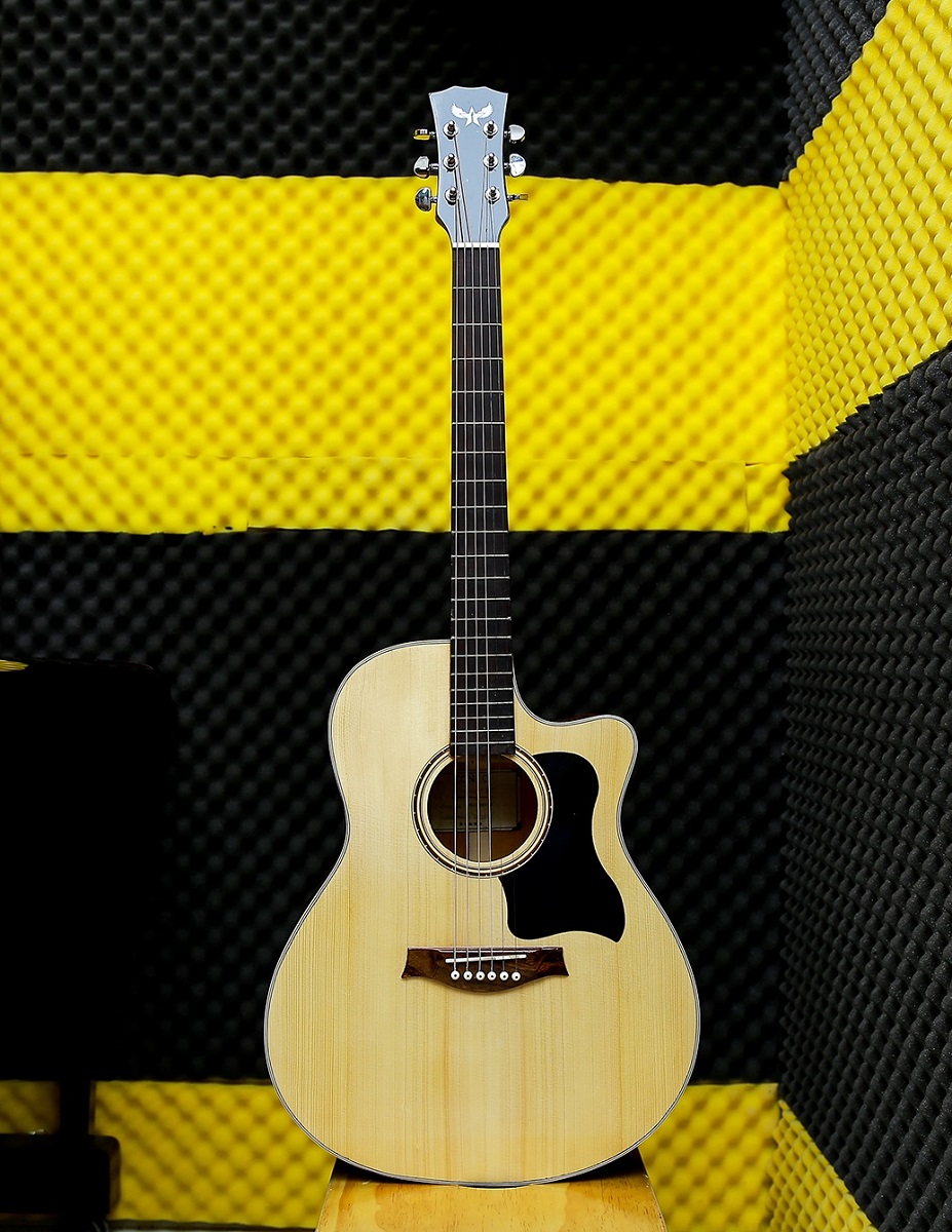 Đàn Guitar Conic A20