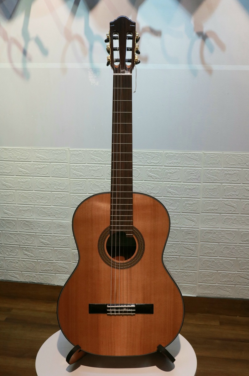 Guitar Monleon NMI-CG-04C