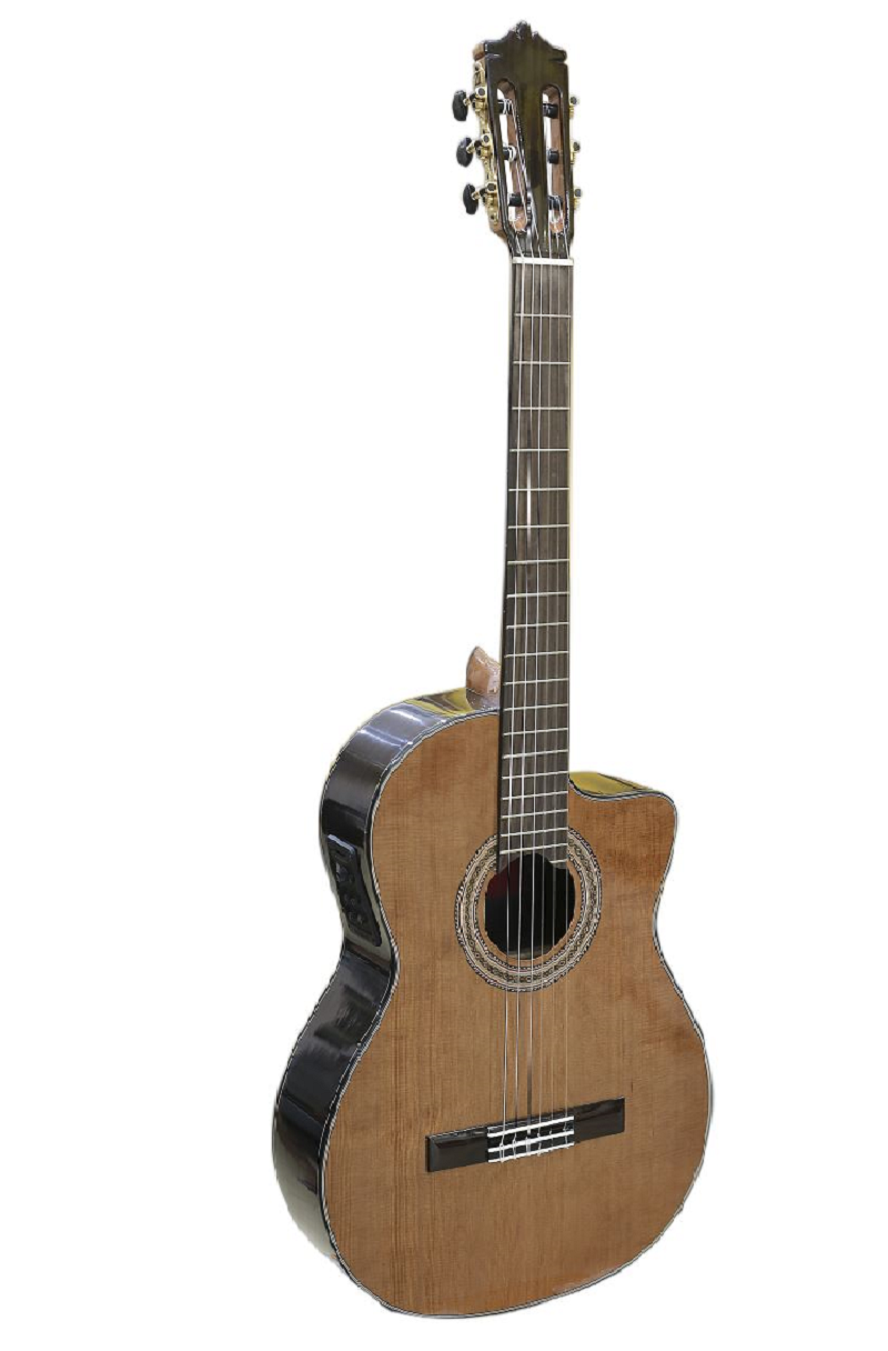 Guitar Martinez MC-58C CE
