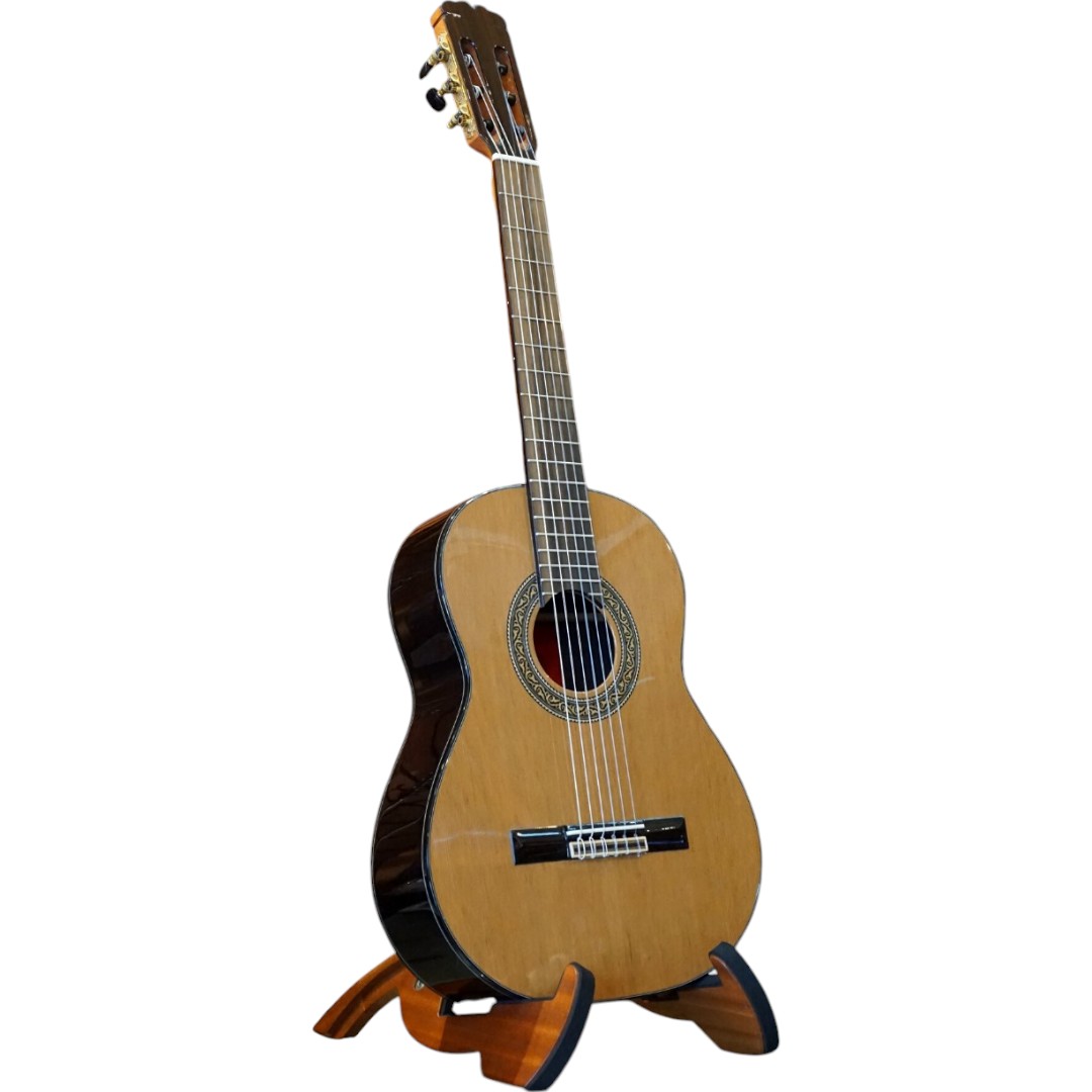 Đàn Guitar Classic Gotar G4/C