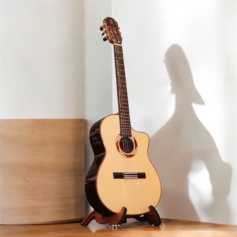 Đàn Guitar Classic Gotar Fusion RW ES 