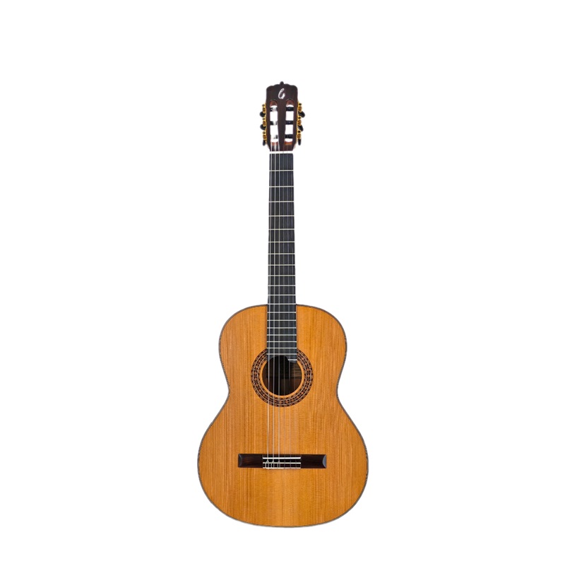 Đàn Guitar Classic Gotar G10