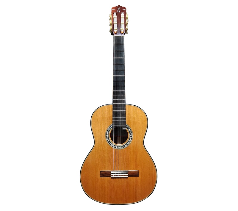 Đàn Guitar Classic Gotar G9C