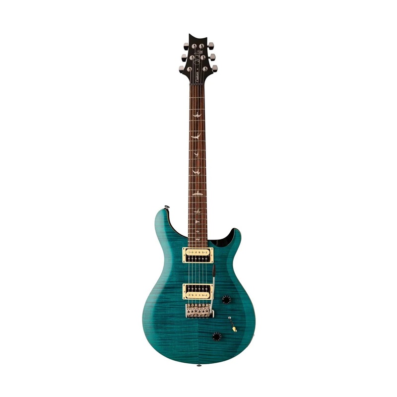 Đàn Guitar Điện PRS SE Custom 22 HH, Rosewood Fingerboard