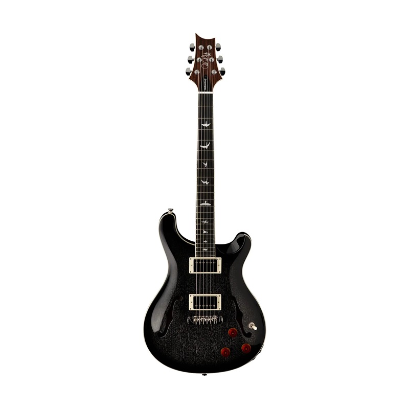 Đàn Guitar Điện PRS SE Hollowbody Standard Piezo , Ebony Fingerboard, Dog Hair Smokeburst