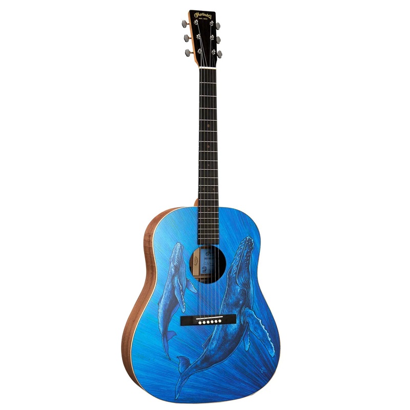 Đàn Guitar Acoustic Martin DSS Biosphere II - Custom & Special Editions Series