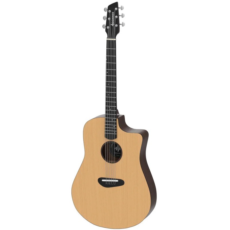 Đàn Guitar Acoustic Donner S410 Spruce 