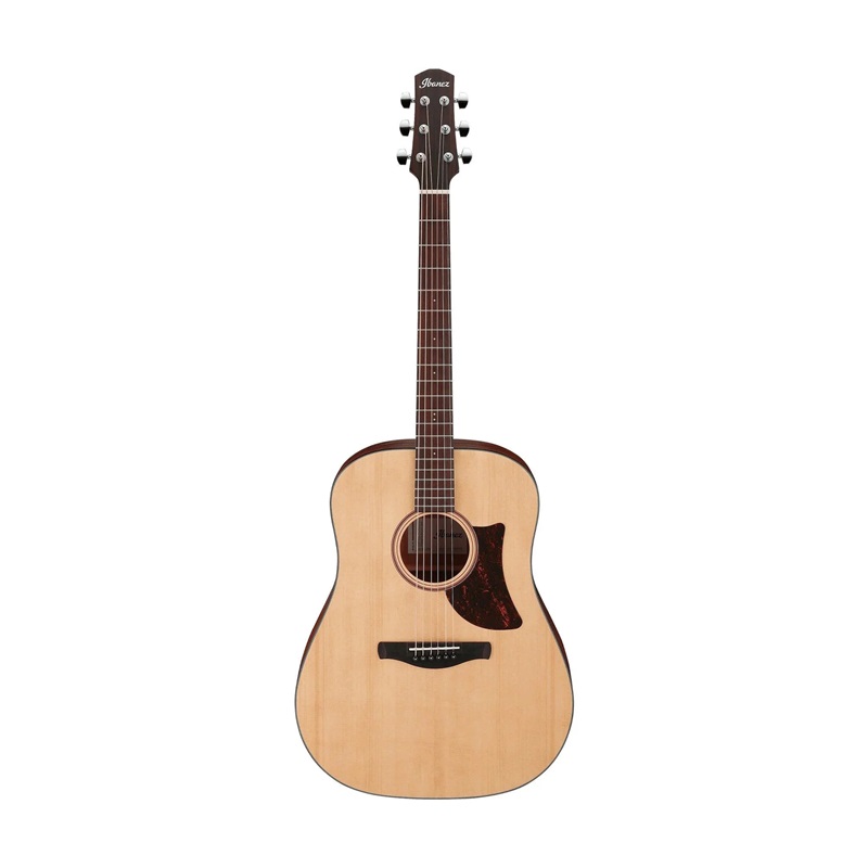 Đàn Guitar Acoustic Ibanez AAD100, Open Pore Natural 