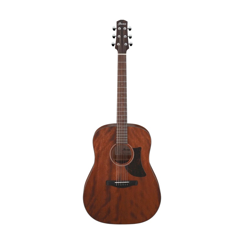 Đàn Guitar Acoustic Ibanez AAD140