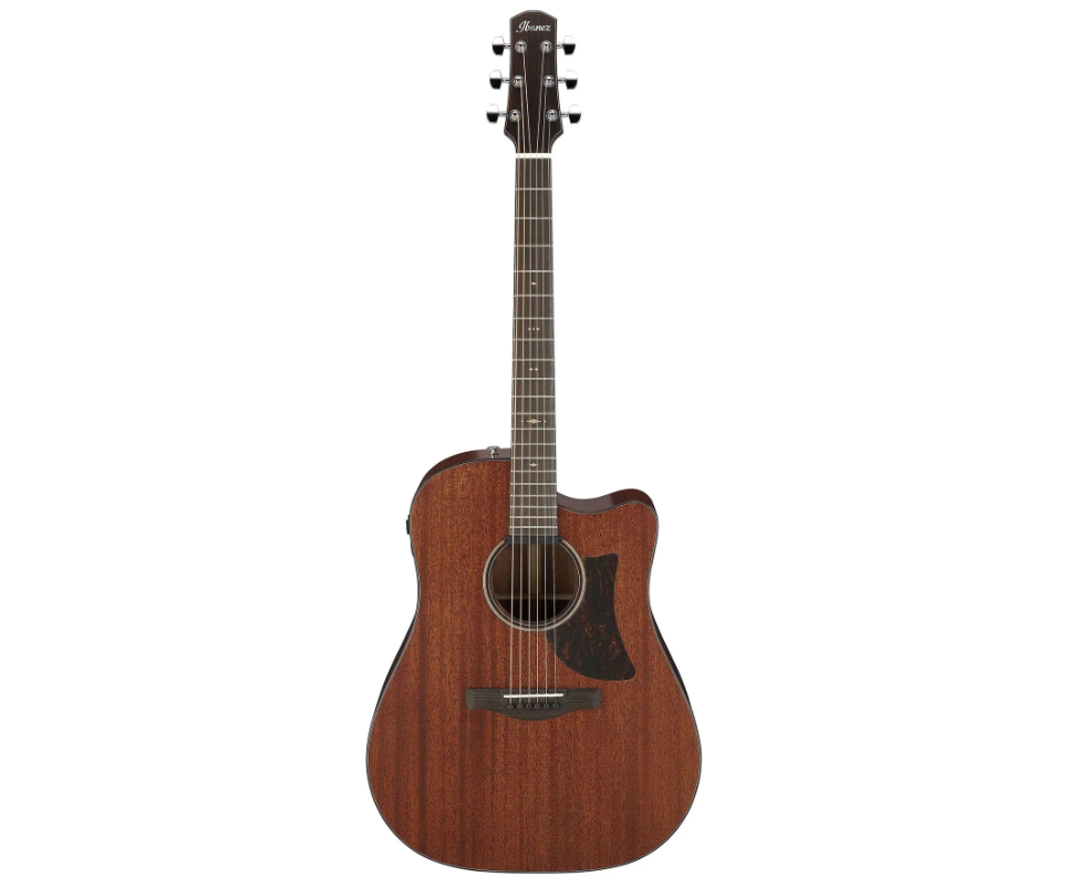 Đàn Guitar Acoustic Ibanez AAD440CE, NATURAL