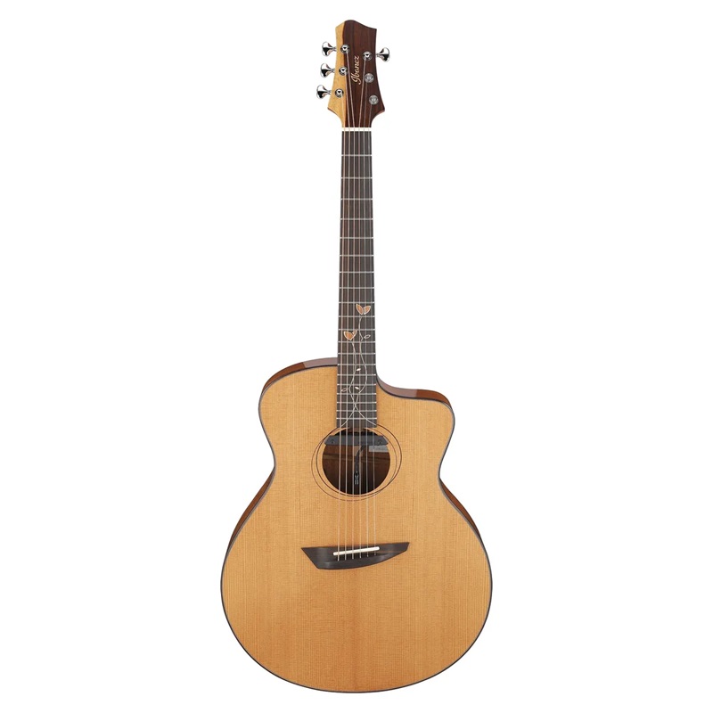 Đàn Guitar Acoustic Ibanez JGM11 