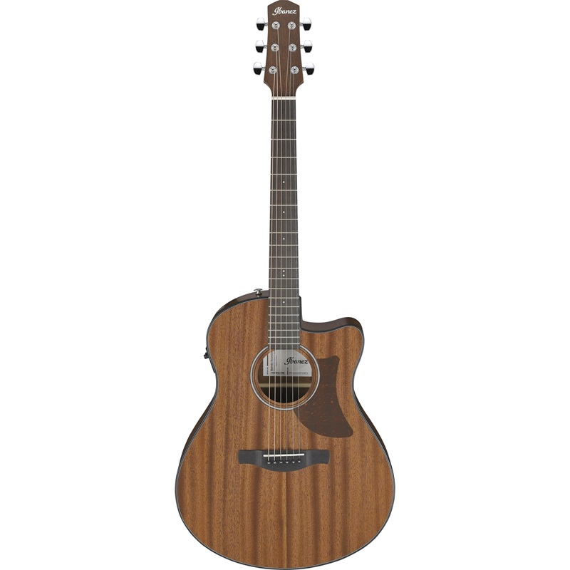 Đàn Guitar Acoustic Ibanez AAM54CE 