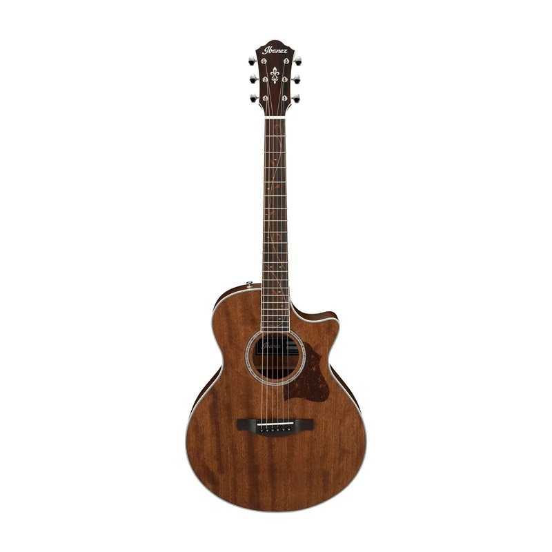 Đàn Guitar Acoustic Ibanez AE245JR 