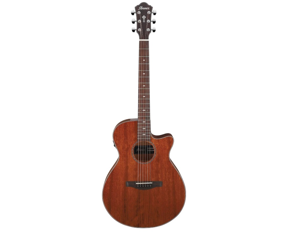Đàn Guitar Acoustic Ibanez AEG220 Natural Low Gloss