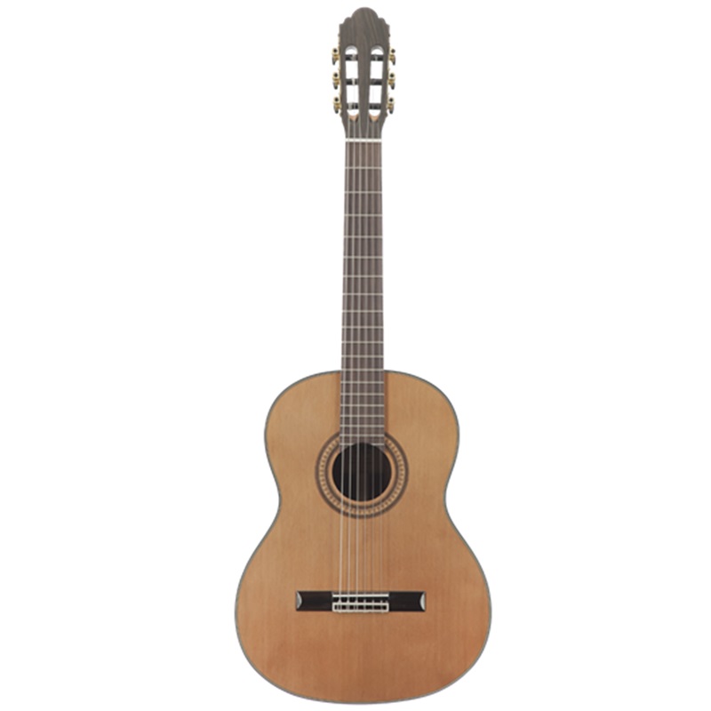Đàn Guitar Classic Sqoe CG40S