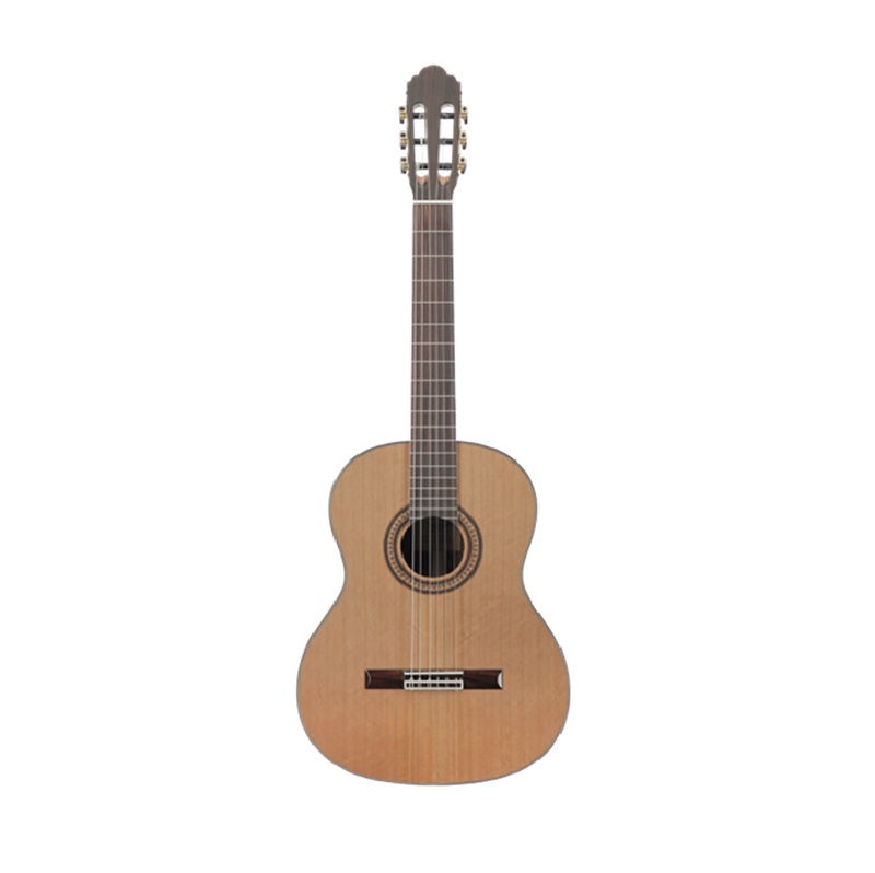 Đàn Guitar Classic Sqoe CG50S