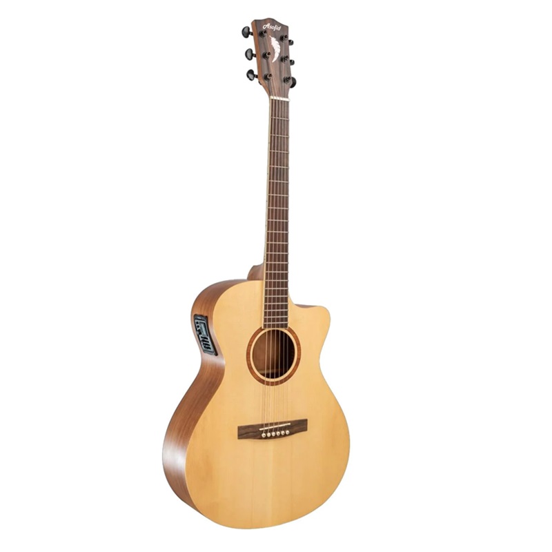 Đàn Guitar Acoustic Asolid Nato Nonbinding 