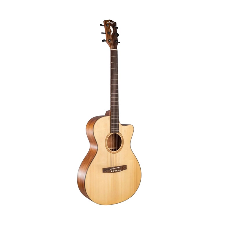 Đàn Guitar Acoustic Asolid 51CA 