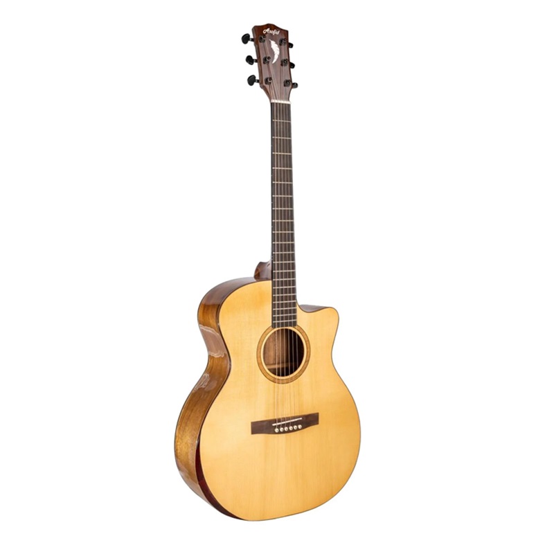 Đàn Guitar Acoustic Asolid 53CA Bavel 