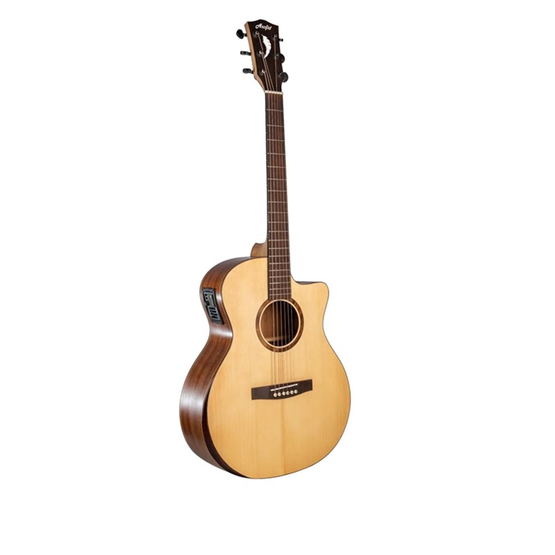 Đàn Guitar Acoustic Asolid 54CA Bavel Nonbinding 