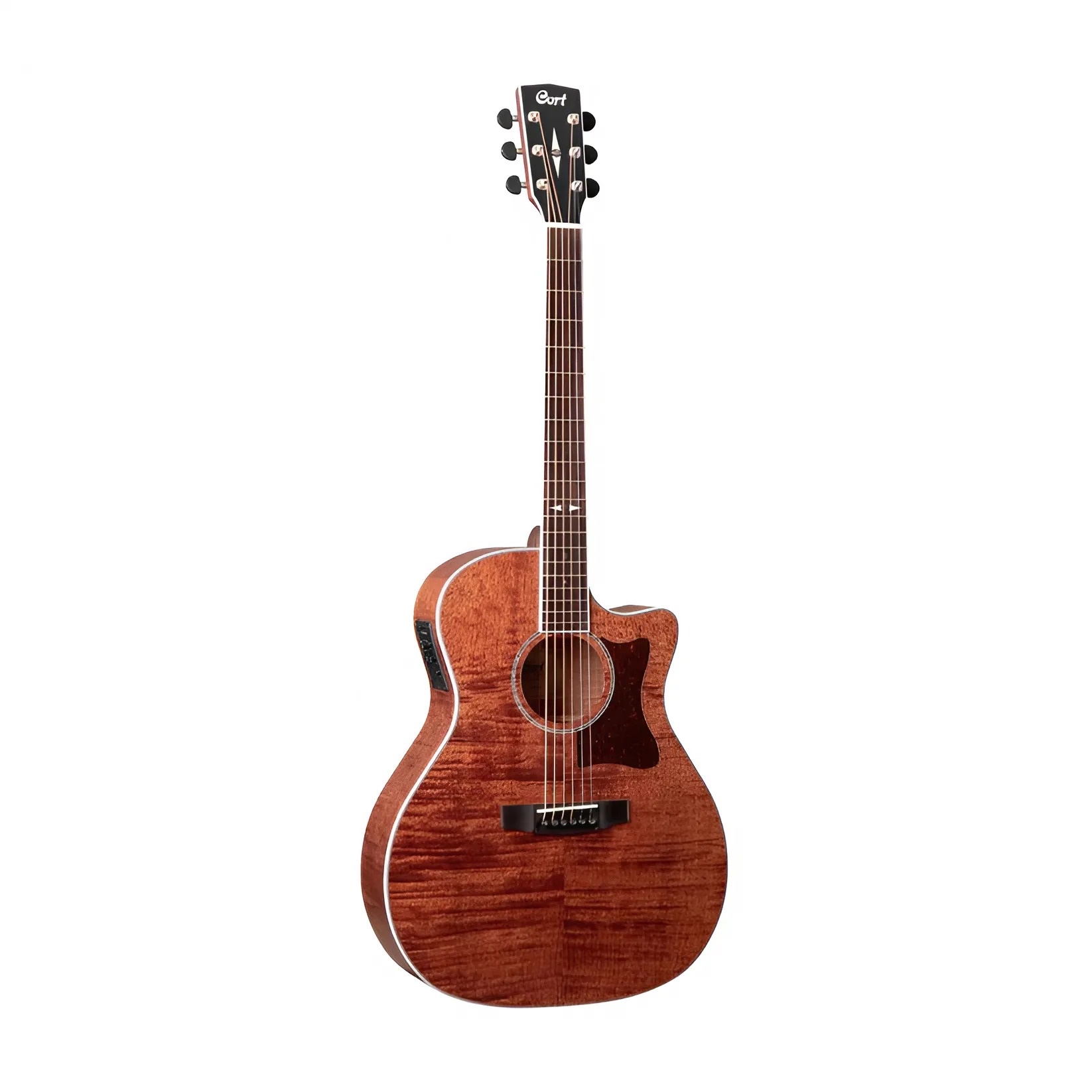 Đàn Guitar Acoustic Cort GA5F-FMH, Open Pore