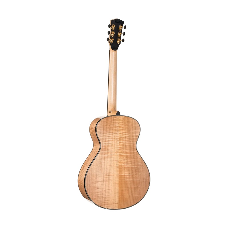 Đàn Guitar Acoustic Cort Gold-Passion, Natural Glossy 