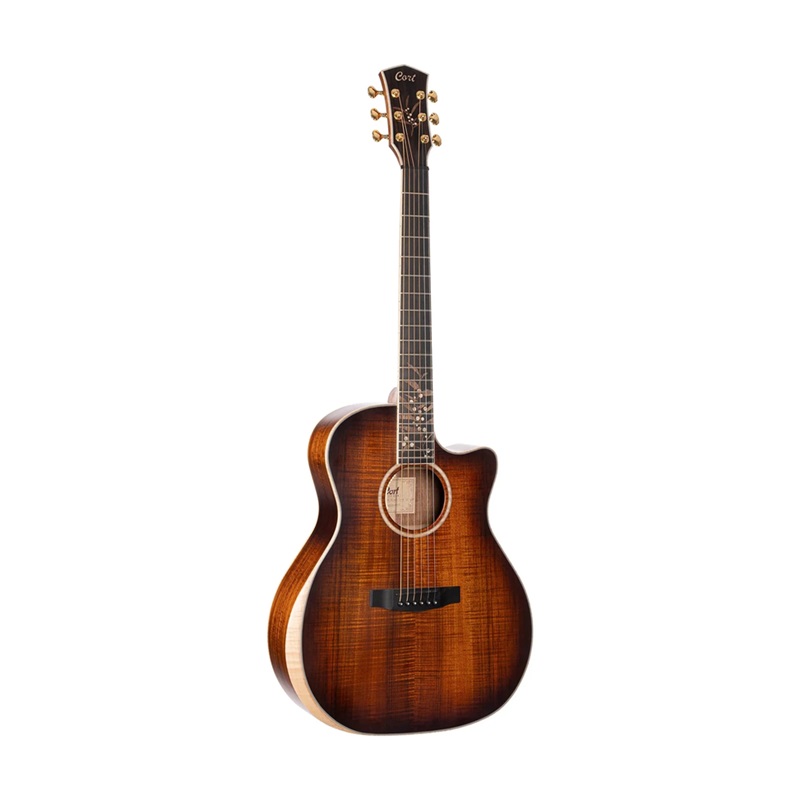 Đàn Guitar Acoustic Cort The Black Tree, Light Burst Satin 