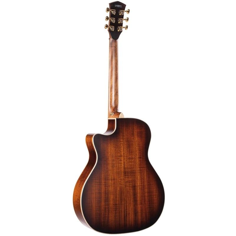 Đàn Guitar Acoustic Cort The Black Tree, Light Burst Satin 