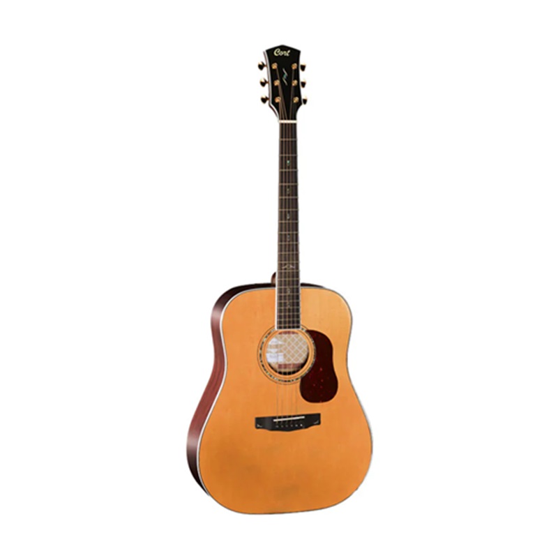 Đàn Guitar Acoustic Cort Gold-D8 