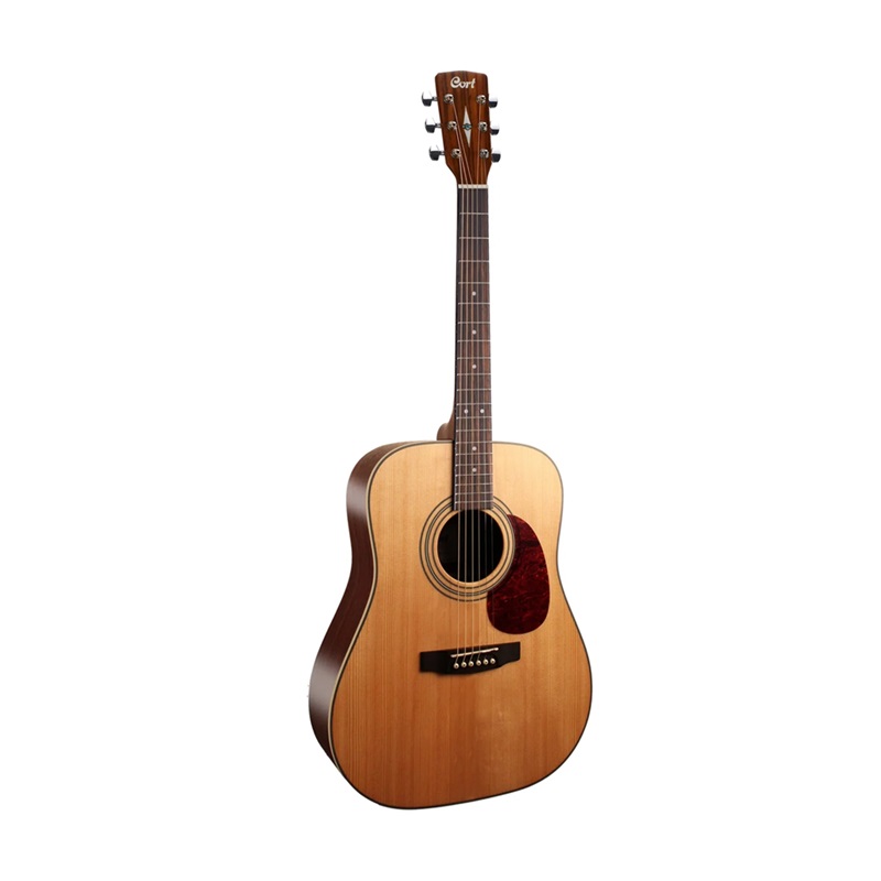 Đàn Guitar Acoustic Cort Earth70 