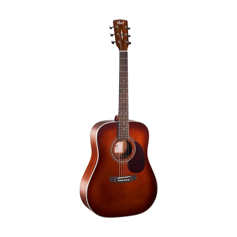 Đàn Guitar Acoustic Cort Earth70 