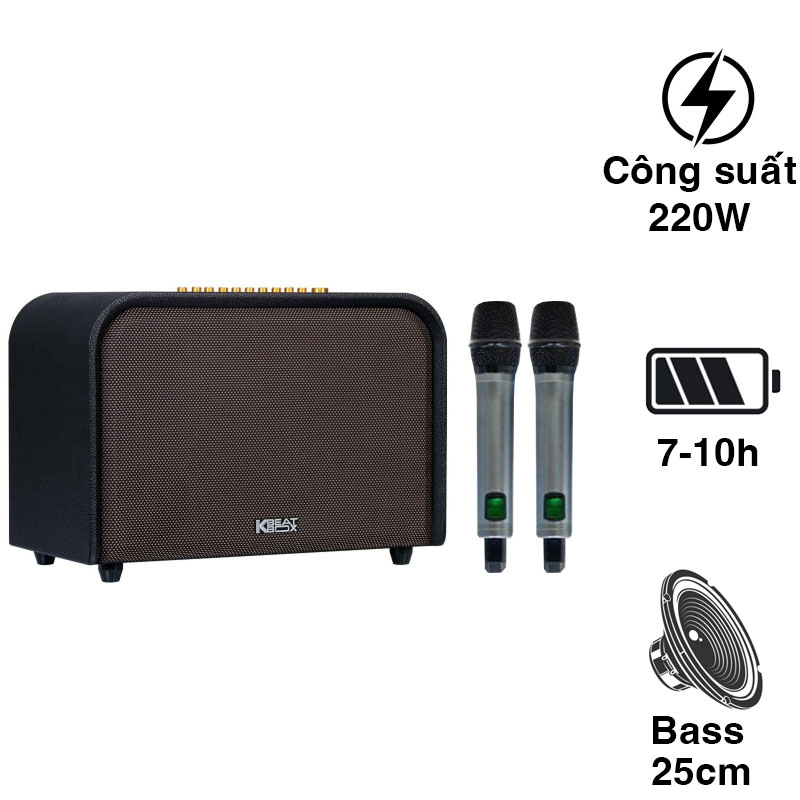 Loa Acnos Acoustic 3
