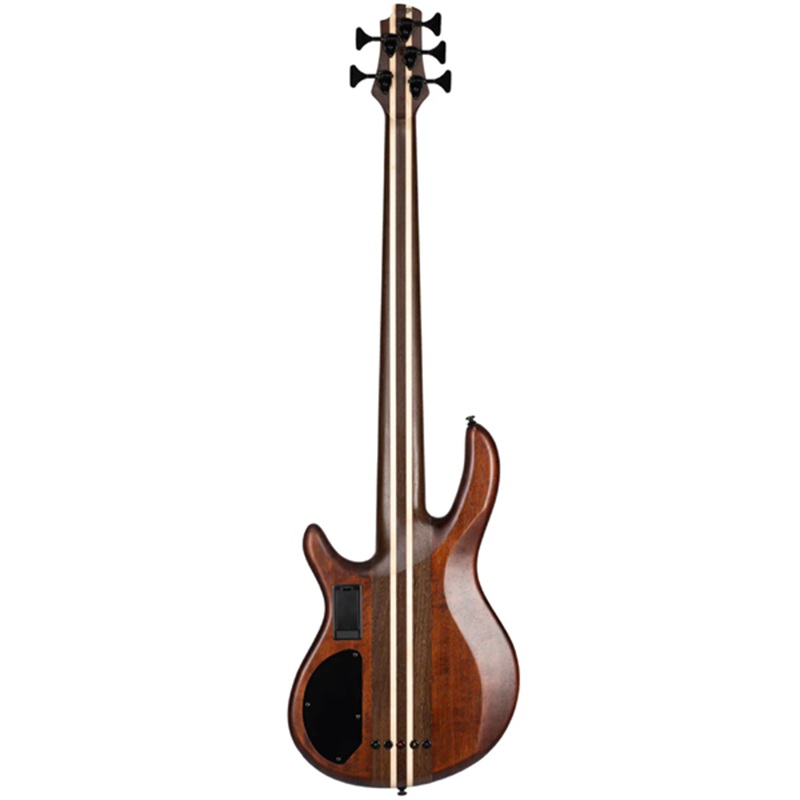 Đàn Guitar Bass Cort A5 Plus FMMH SS, Panga Panga Fingerboard - 5 Strings 