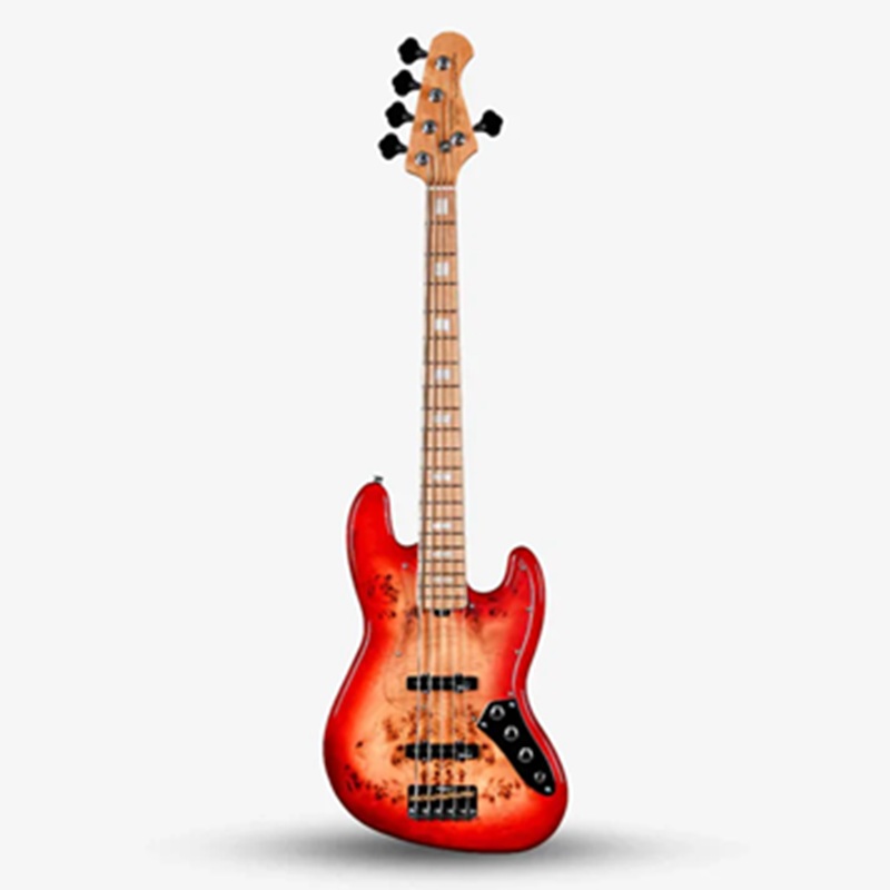 Đàn Guitar Bass Sqoe SJB750 SS, Maple Fingerboard - 5 Strings