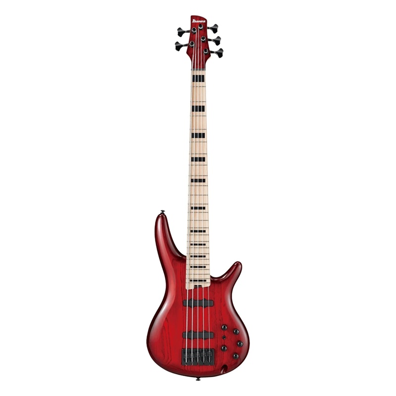 Đàn Guitar Bass Ibanez ANB205 - Adam Nitti Signature SS, Maple Fingerboard, Transparent Wine Red Burst - 5 Strings 