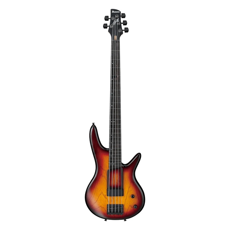 Đàn Guitar Bass Ibanez GWB205 - Gary Willis Signature S, Ebony Fingerboard - 5 Strings 