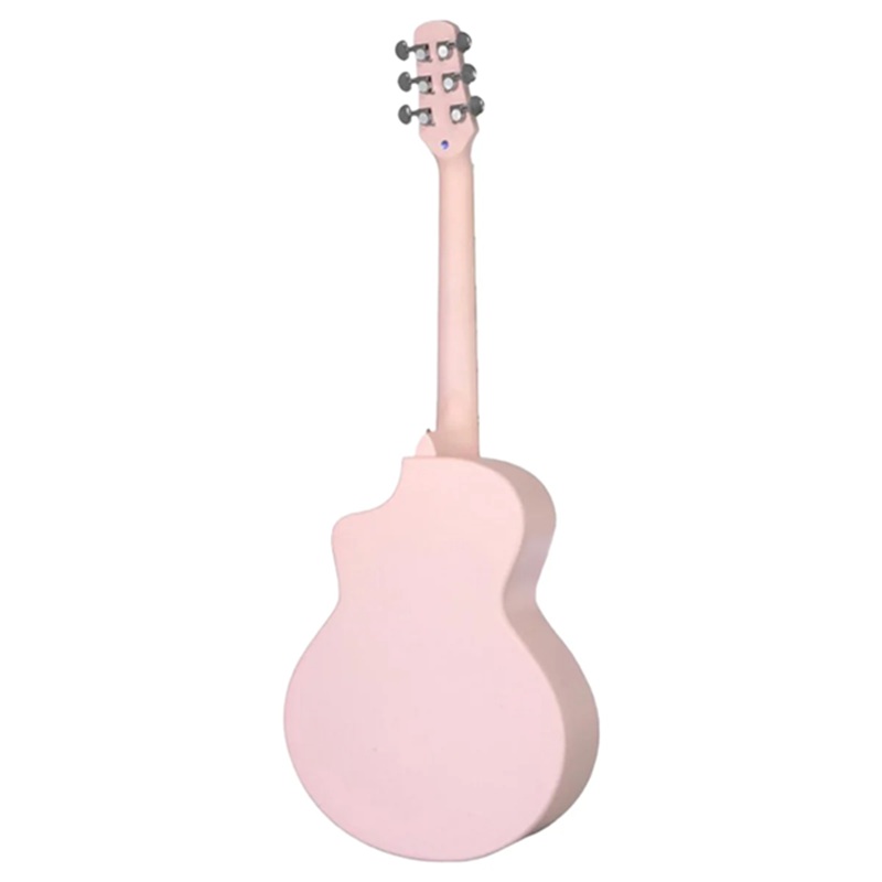Đàn Guitar Acoustic Daisy D-100 PK 