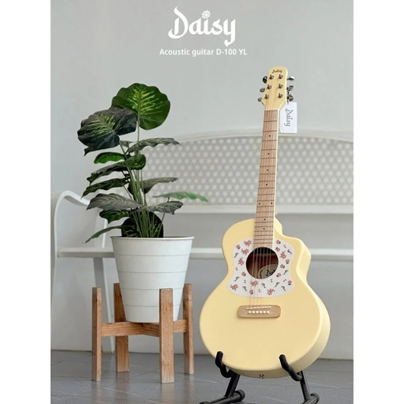 Đàn Guitar Acoustic Daisy D-100 