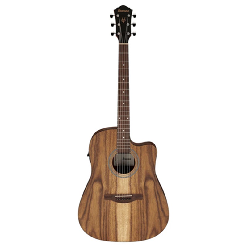 Đàn Guitar Acoustic Ibanez V40CE 